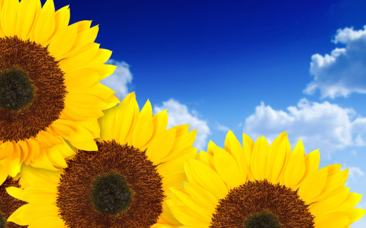 657523 (a): :1920x1200